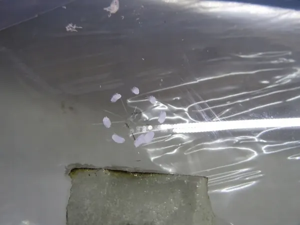 Parabrezza anteriore Mercedes W177 image 5