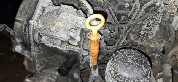 OEM 2757398 högtrycksinsprutningspump för VW Bora 1.9L image 3