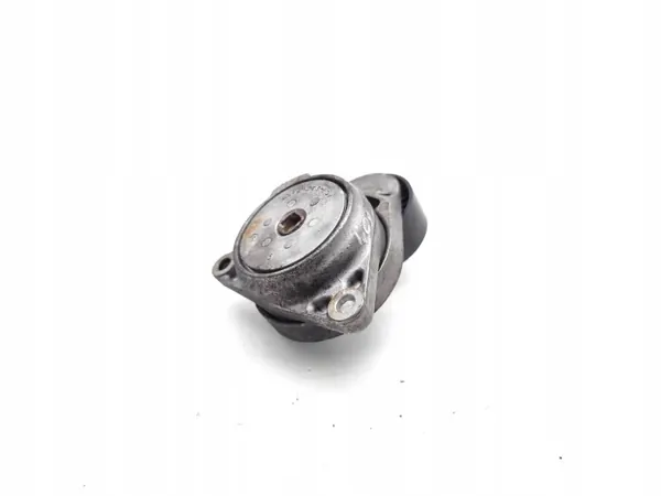 Land Rover Meervoudige rib-riemspanner Diesel image 10