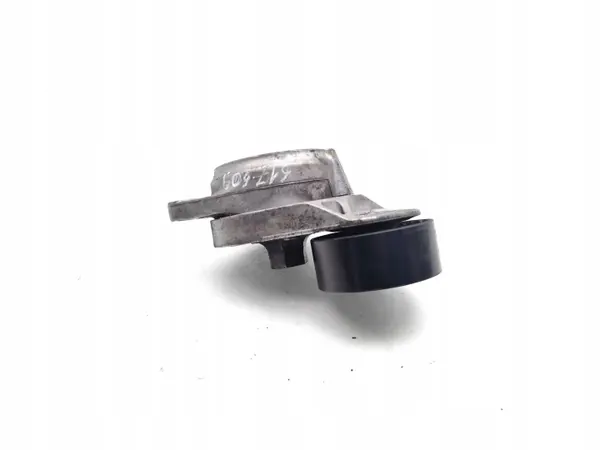 Land Rover Meervoudige rib-riemspanner Diesel image 3