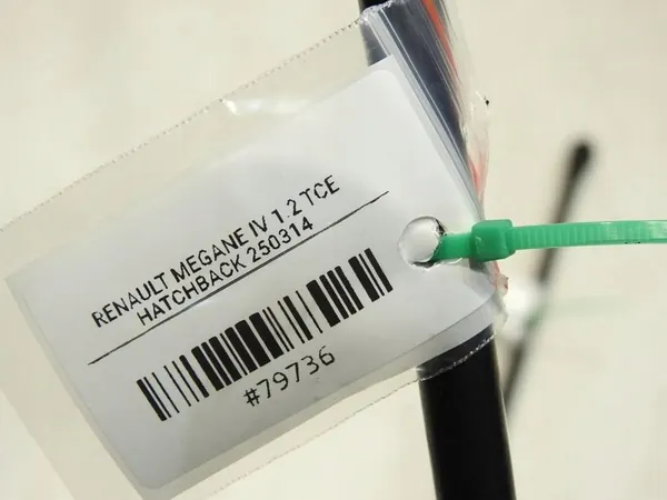 Bakluckgasdämpare Renault Megane IV HB 904511213R image 4