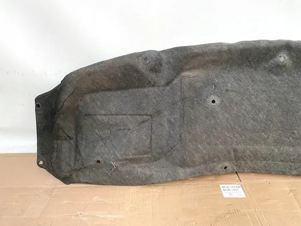 Isolamento do capô Mercedes-Benz A9066820026 2010 image 7