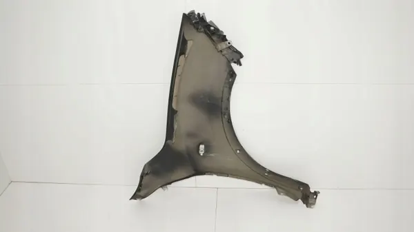 Para-lamas dianteiro esquerdo OEM 360202411 Nissan Juke image 8