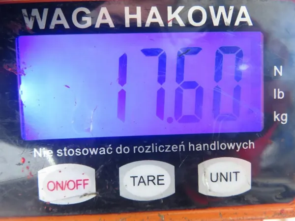 SANKI TYŁ SUBARU LEGACY IV Kombi - Bakre Släde image 7