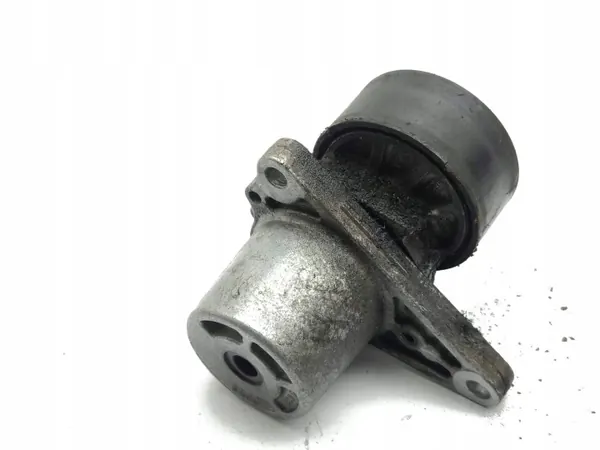 Nissan X-Trail T32 2015 Meervoudige rib-riemspanner image 4