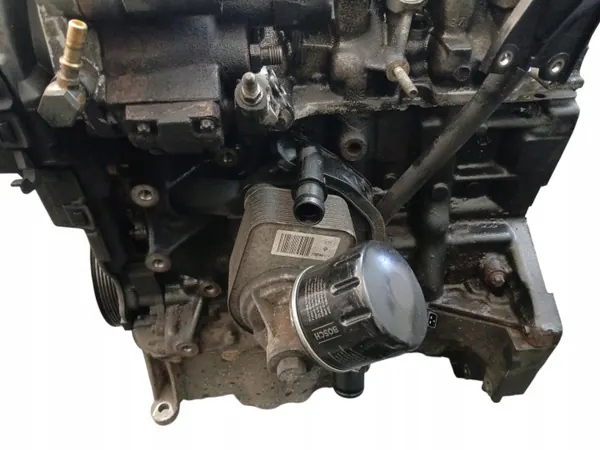 Soporte Motor Usado OEM MM_K9KG832 para Renault Megane III image 4