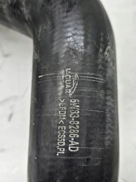 Vattenpump Fram Jaguar XK XKR OEM 6W838286AD image 6