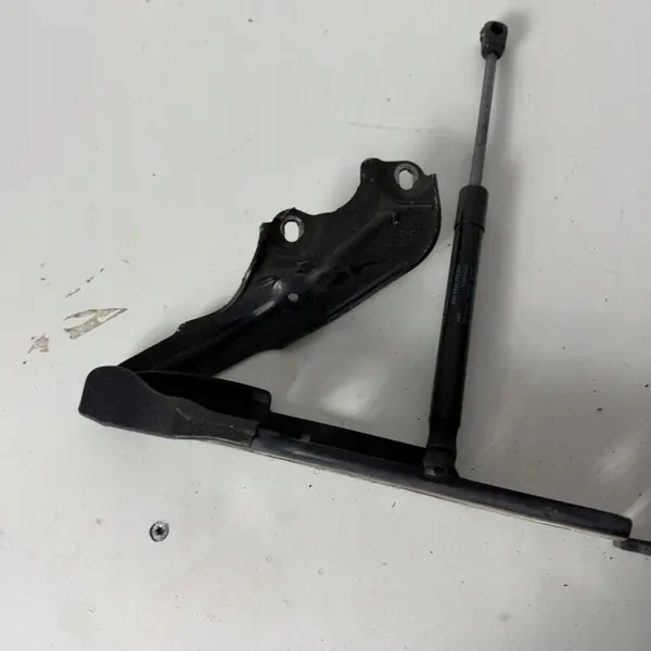 Paire de Charnières de Capot OEM JPF4G8823301D image 6