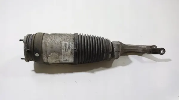 Tesla Luftfederbein OEM 1067361-25-C vorne rechts image 2