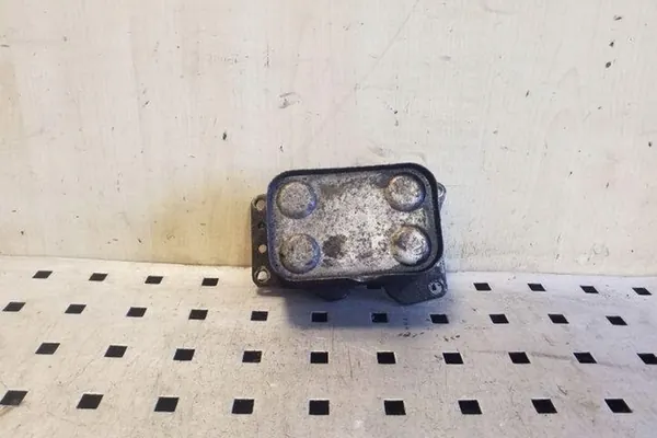 Oljefilterfäste FORD KUGA I 2.0L Diesel image 3