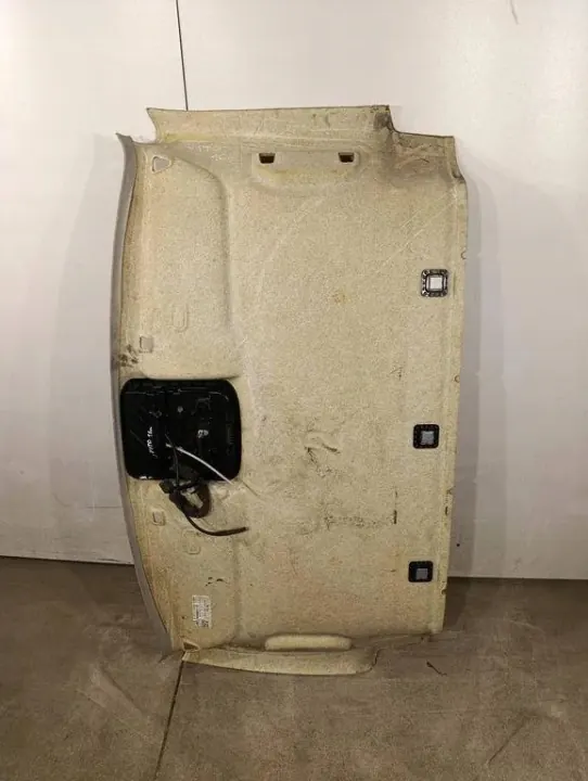 Teto usado OEM 195086291 para Mercedes-Benz Vito image 6