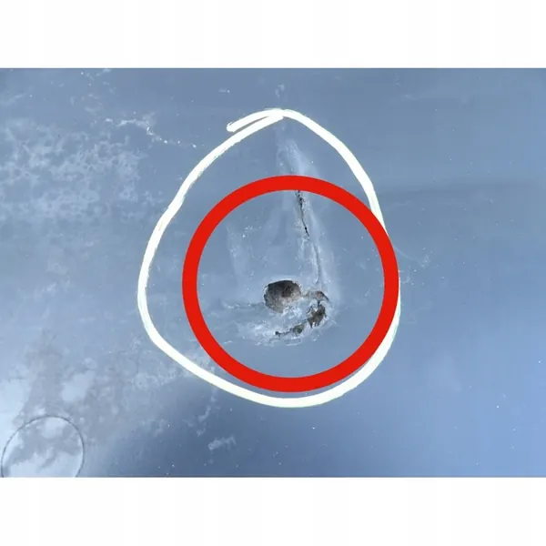 Motorhuv Renault Master III 2010- image 2