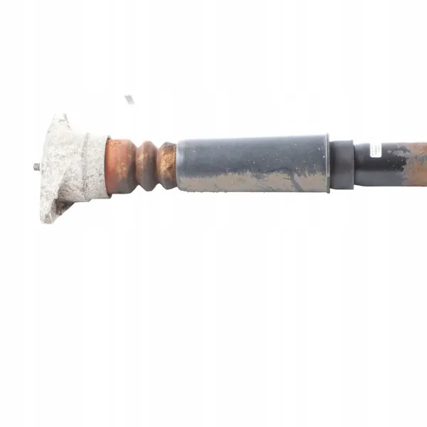 Ammortizzatore Posteriore Audi A6 C6 Sinistro Destro 4F0513032AG image 2