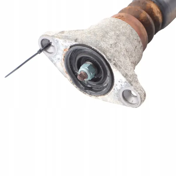 Ammortizzatore Posteriore Audi A6 C6 Sinistro Destro 4F0513032AG image 5