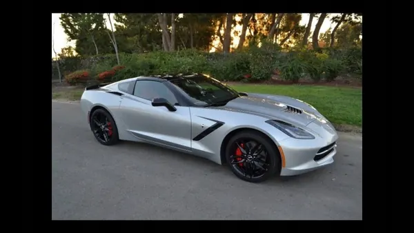 Filtre à charbon OEM 20958878 pour Chevrolet Corvette C7 image 9