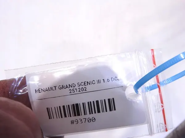 Ilmastointiputket RENAULT GRAND SCÉNIC III 924902464R image 4