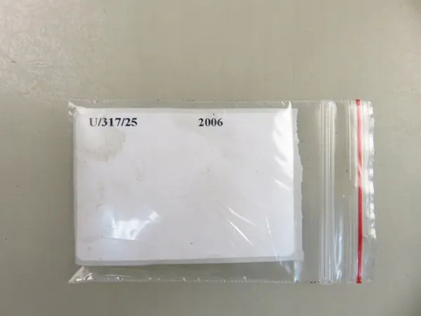 Bosch Remschijf Achter H (A04) 2006 image 7