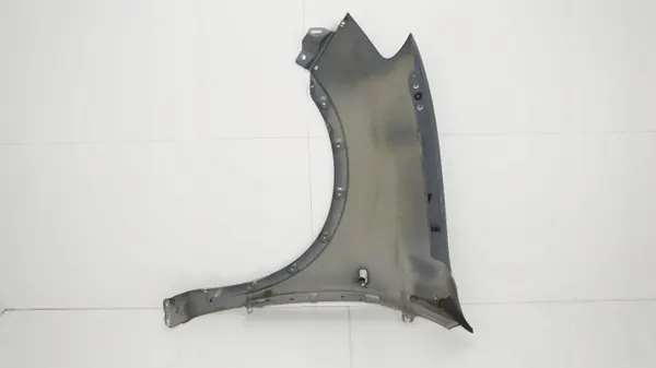 Voor rechter spatbord OEM 360201051 Nissan Qashqai J10 image 9