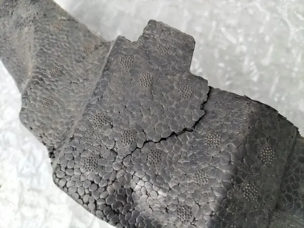 CUPRA FORMENTOR Amortecedor de Para-choque Frontal OEM image 4