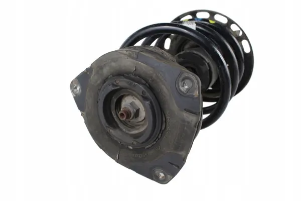 Amortecedor Dianteiro OEM MP99_543020008R Renault Megane III image 4
