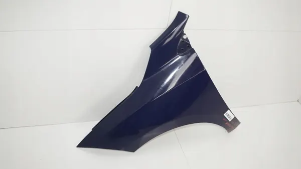Para-lamas dianteiro esquerdo OEM 360186754 Renault Megane III image 6
