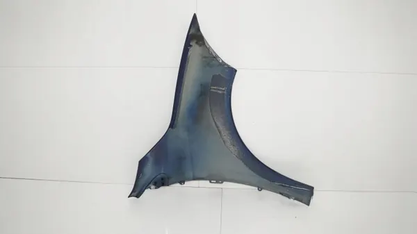 Para-lamas dianteiro esquerdo OEM 360186754 Renault Megane III image 8