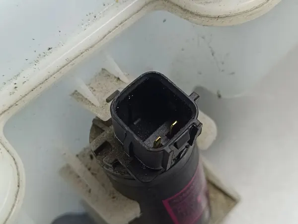 2020 SsangYong Musso Réservoir de lave-glace FOB41282 image 2