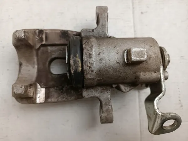 ABE CZH1302 Jarrusatula image 3