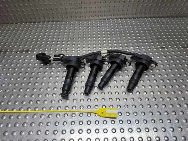 Conjunto de Bobinas de Ignição OEM S25165761 Kia Ceed I image 2