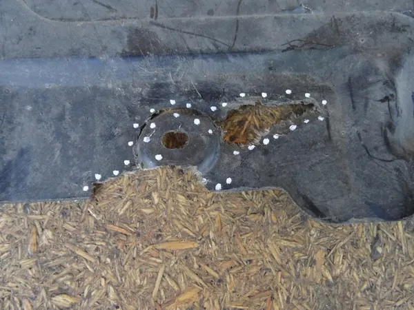 Motorcover AUDI A4 B8 8K 8F0863821 image 5