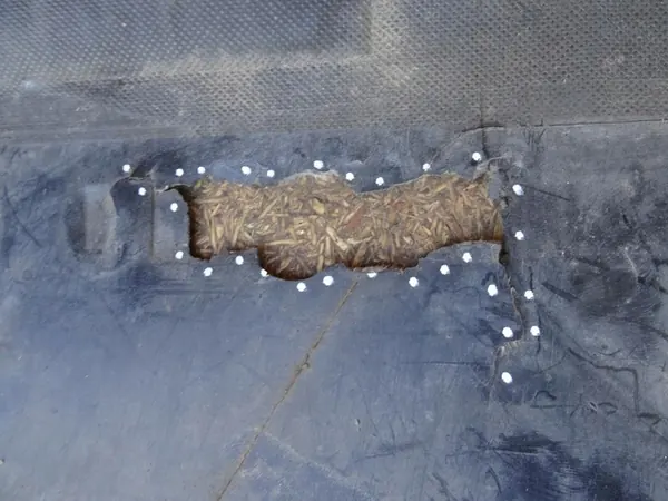 Motorcover AUDI A4 B8 8K 8F0863821 image 6