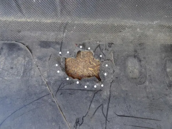 Motorcover AUDI A4 B8 8K 8F0863821 image 7