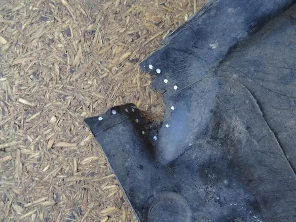 Motorcover AUDI A4 B8 8K 8F0863821 image 8