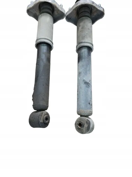 OEM Stötdämpare Bak Höger Vänster Citroen C-Crosser image 3