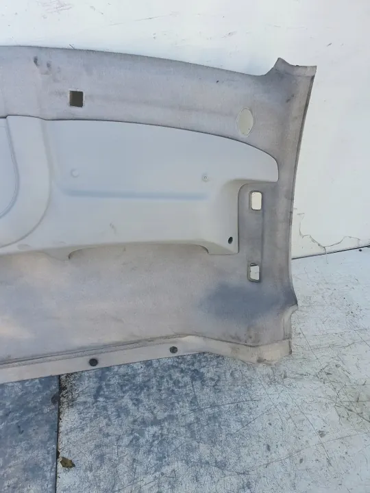 OEM podsufitka expert scudo 4car - Dachablage image 5