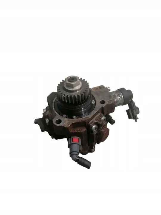 Brandstofpomp Laguna III 2.0 DCI image 2