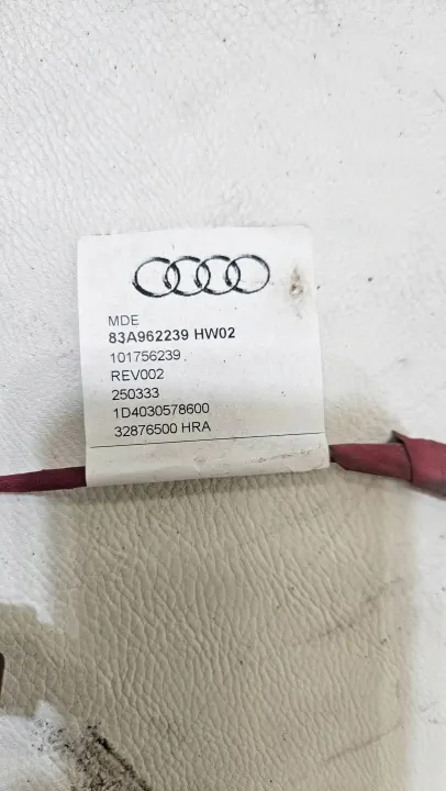 OEM 83A962239 Commande Électrique Hayon Audi Q3 image 4
