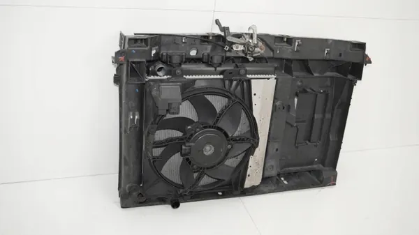 OEM 360186290 Etuhihna Citroen C3 II 2009-2012 image 7