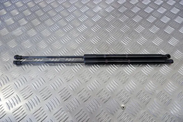 Linker Kofferraumstütze Toyota C-HR OEM 68960F4051 image 2