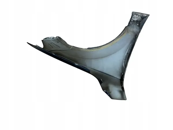 AUDI Q7 4L Parafango Anteriore Sinistro LC9X image 4