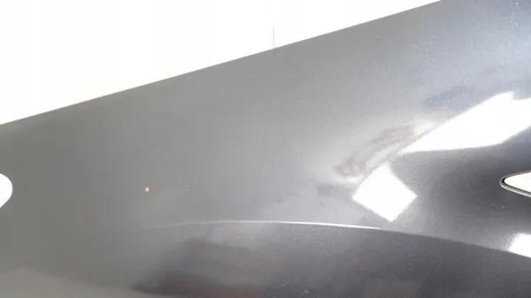 Para-lamas dianteiro esquerdo OEM 360151826 Ford Kuga MK1 image 5