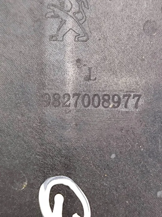OEM 9827008977 Bakrutslist Vänster Sida image 8