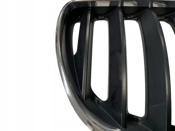 BMW X5 E53 Front Grille OE 51137113734 image 5