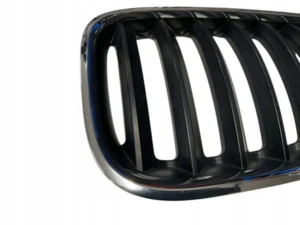 BMW X5 E53 Front Grille OE 51137113734 image 6