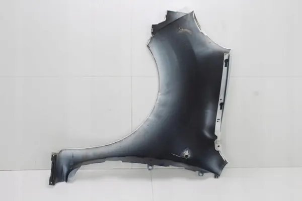 OEM 360212393 etu oikea lokasuoja Renault Kangoo image 7
