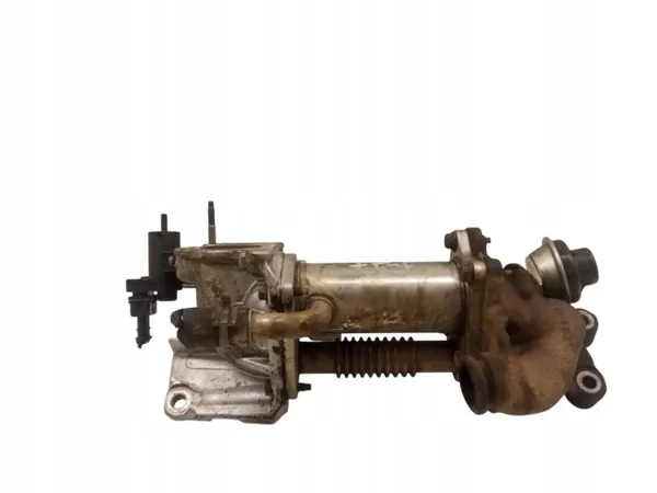 Refroidisseur d'échappement OEM 147356133R Dacia Dokker I image 2