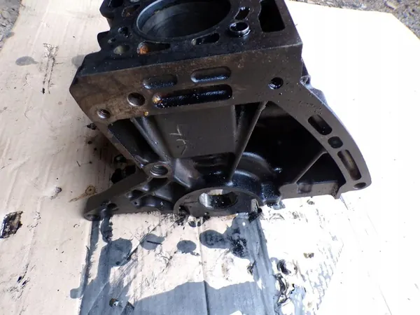 RENAULT KANGOO II 1.5 DCI BLOCK 434677 K9K768 image 4