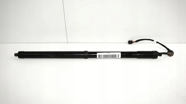 OEM 360164904 Pistón Portón Derecho Trasero Evoque image 4