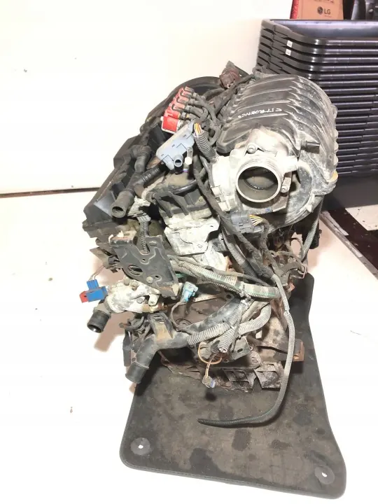 TU5JP4 Motor für Citroen C3 2004 - Gebraucht image 6