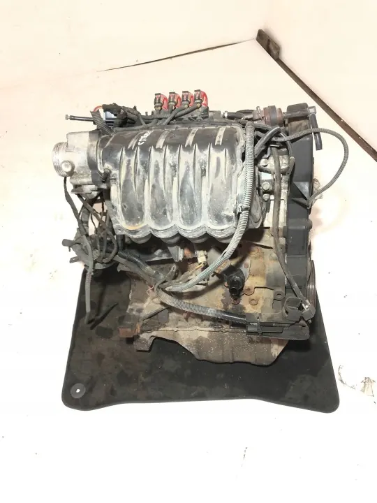 TU5JP4 Motor für Citroen C3 2004 - Gebraucht image 8